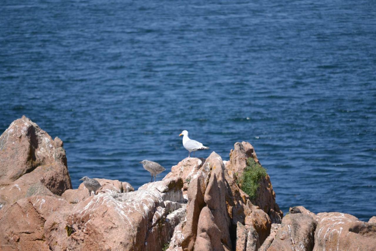 Gite De La Marina Dans La Presqu'Ile De Lézardrieux Exterior foto